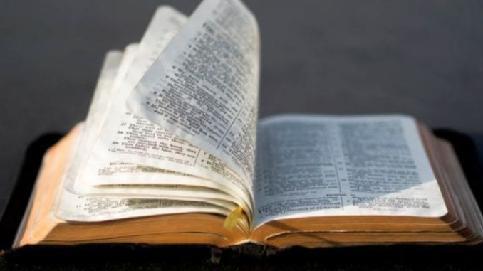 Screenshot 2025-10-31 8.30.33 PM