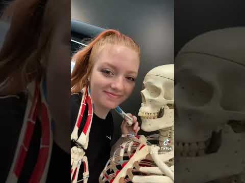 Massage thérapeutique suédois ou massage thérapeutique des tissus profonds : lequel dois-je choisir ?